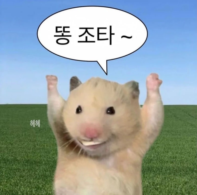 [잡담] 절대 타조 똥을 거꾸로 말하지마세여 | 인스티즈