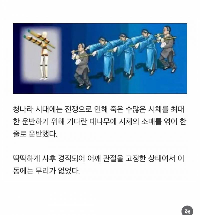 [잡담] 친구랑 강시 앞자리 강시 뒷자리로 토론했는데 너희는 뭐가 더 무서워ㅎㅇㅈㅇ | 인스티즈