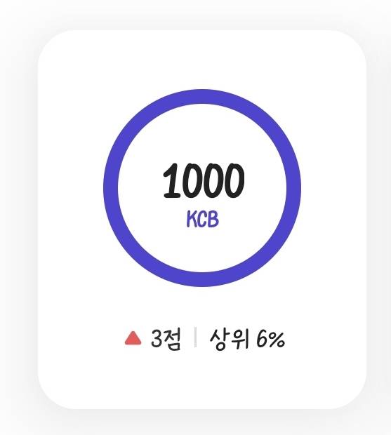 [잡담] Kcb 신용점수 만점 채움!! | 인스티즈