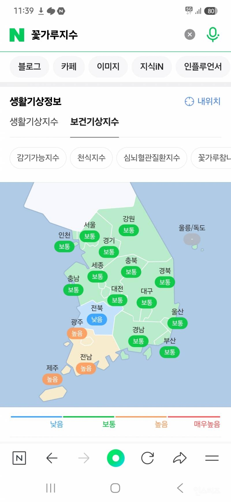 매년 4~5월 꽃가루 지수를 검색해야 하는 이유 | 인스티즈