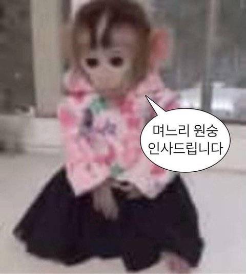 [잡담] 이거 프사하면 사람들이 결혼하는줄알까? | 인스티즈