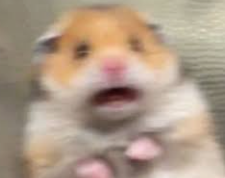 [잡담] ?????브라 진짜 안하고 자? | 인스티즈