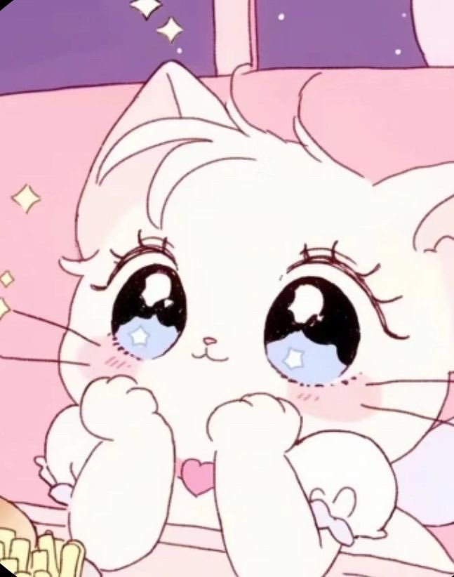 [잡담] 원빈이 진짜 세상에서 제일 예쁜 고냥이 | 인스티즈