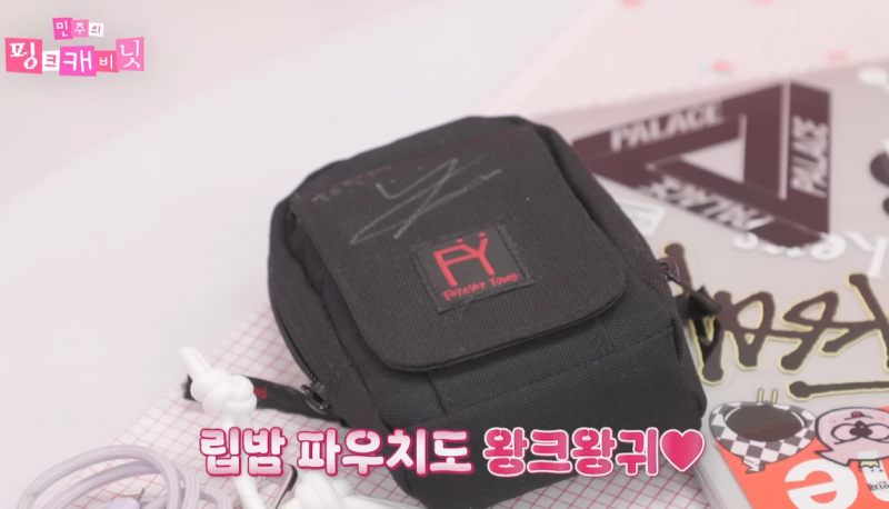 틴트도 아닌데 립밤만 9개 들고다닌다는 아이돌 | 인스티즈