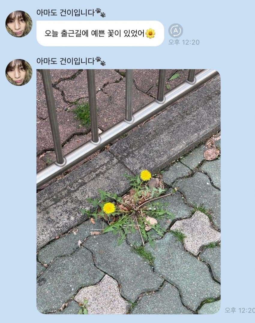 [잡담] 난 넥스지 뜬다고봐 | 인스티즈