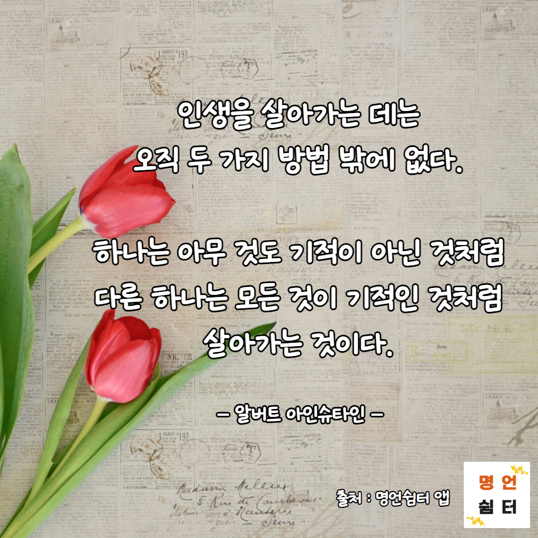 [잡담] 인생을 살아가는 것에는 2가지 방법이 있습니다 첫째, | 인스티즈