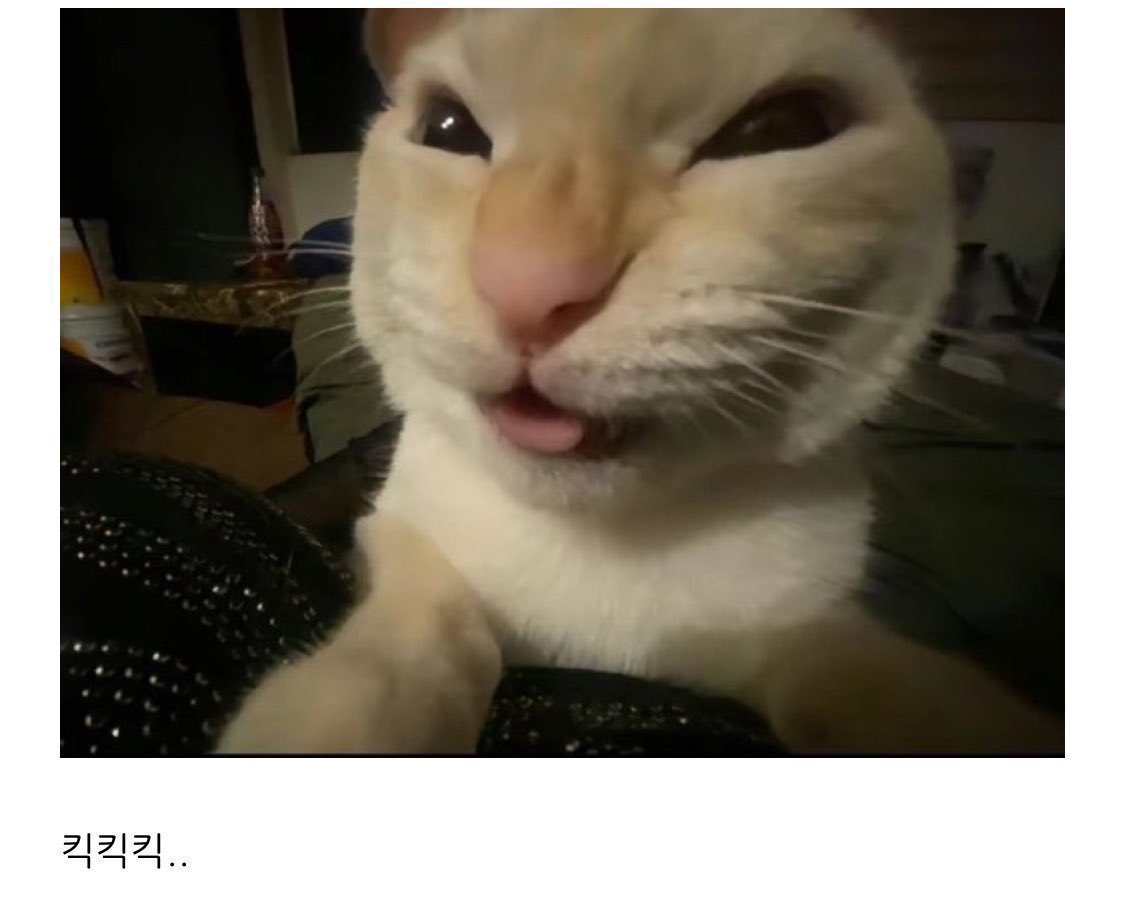 [잡담] 나 애햄상 좋아하네 | 인스티즈