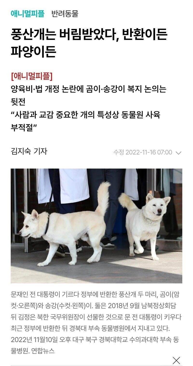 [정보/소식] 민주당 지금까지 까인것들이 죄다 이런 식임ㅋㅋㅋㅋㅋ | 인스티즈