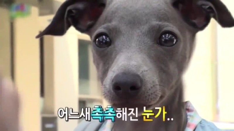 [잡담] 태연웅니 진짜 내꺼답다 | 인스티즈
