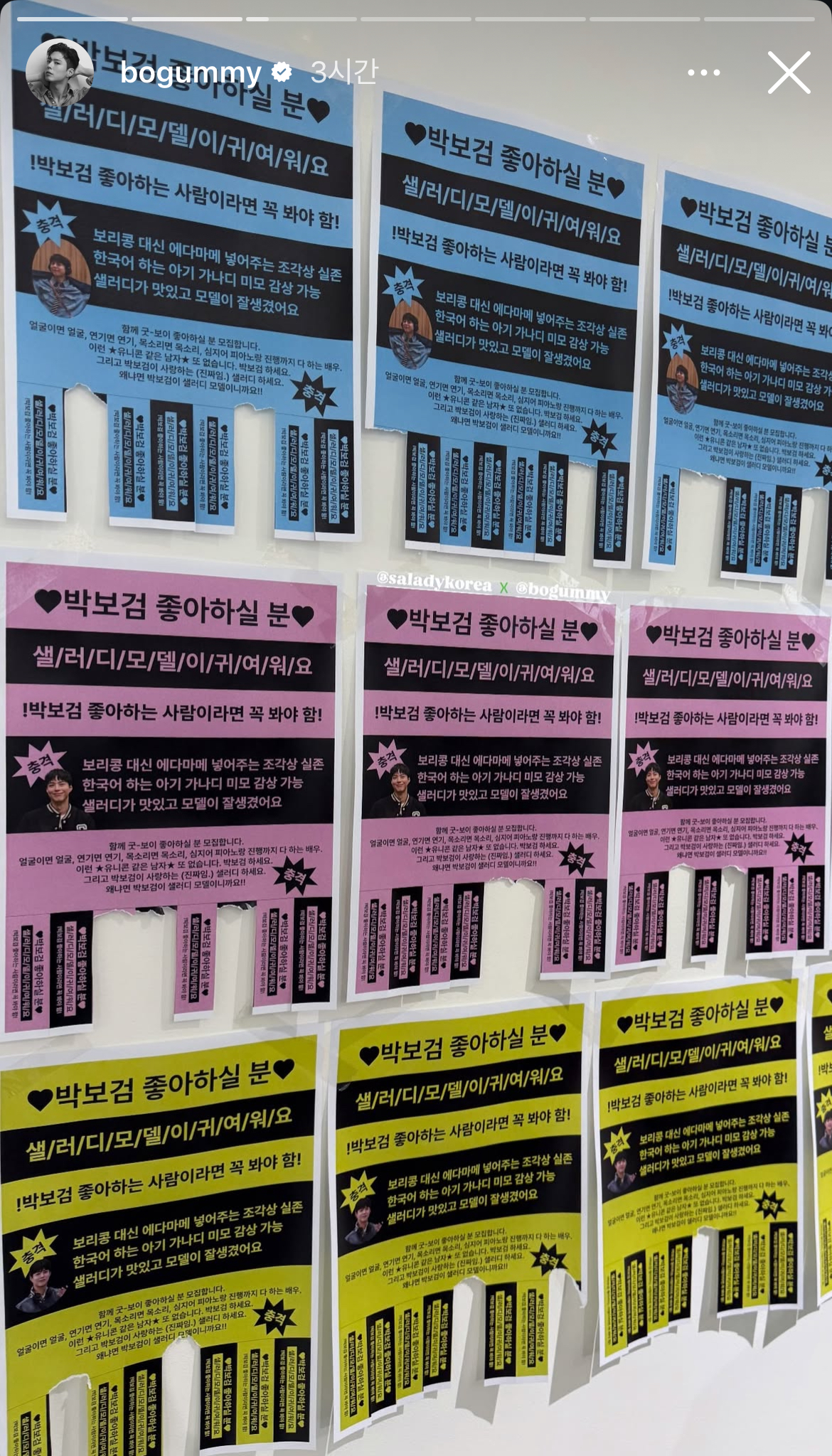 [잡담] 박보검 인스스 샐러디 모델 💚💚💚 | 인스티즈