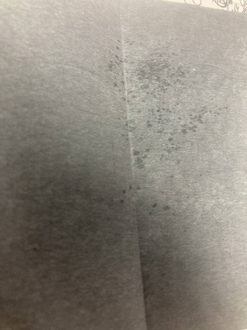 [잡담] 지성익 두피기름 보여줄게 | 인스티즈