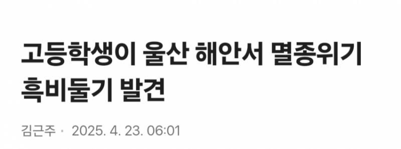 [잡담] 고등학생이 울산에서 멸종위기 조류 발견… | 인스티즈
