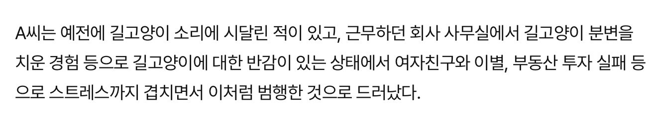 [정보/소식] '스트레스 풀려고'…고양이 21마리 분양받아 죽인 20대 실형 | 인스티즈