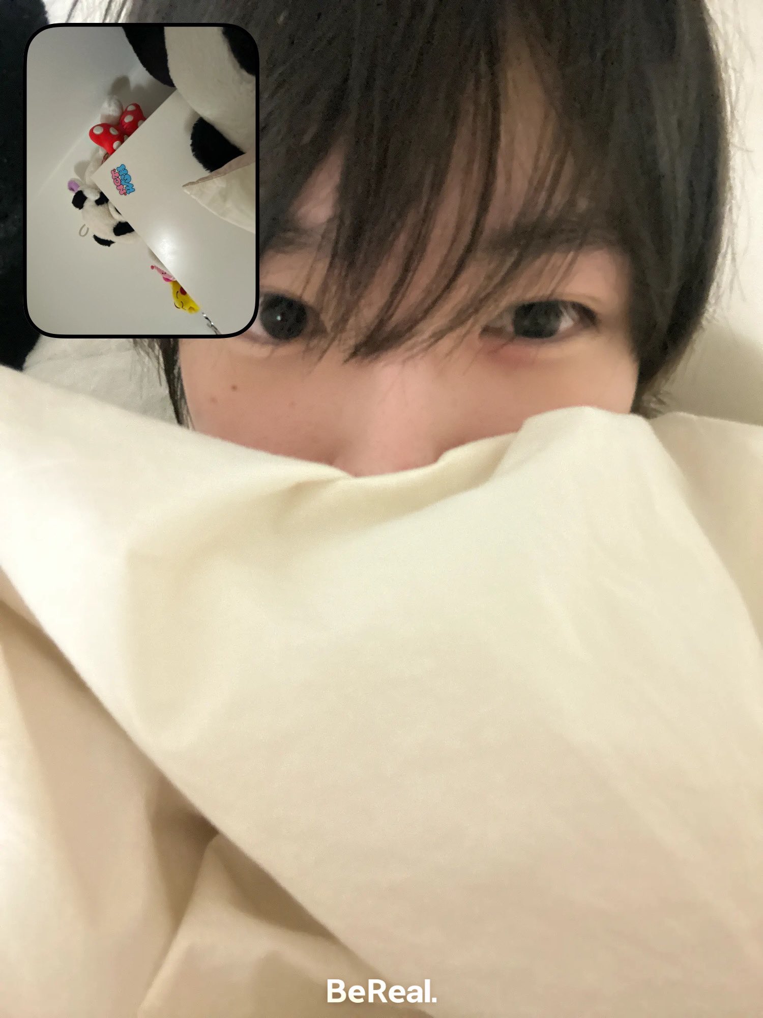 [잡담] 사쿠야 BeReal 이거 뭐야? | 인스티즈