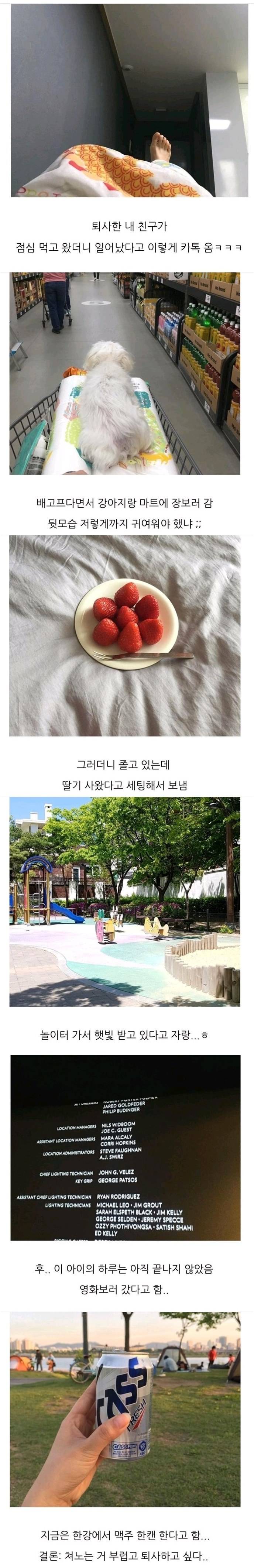 퇴사한 친구가 보내온 일상.jpg | 인스티즈
