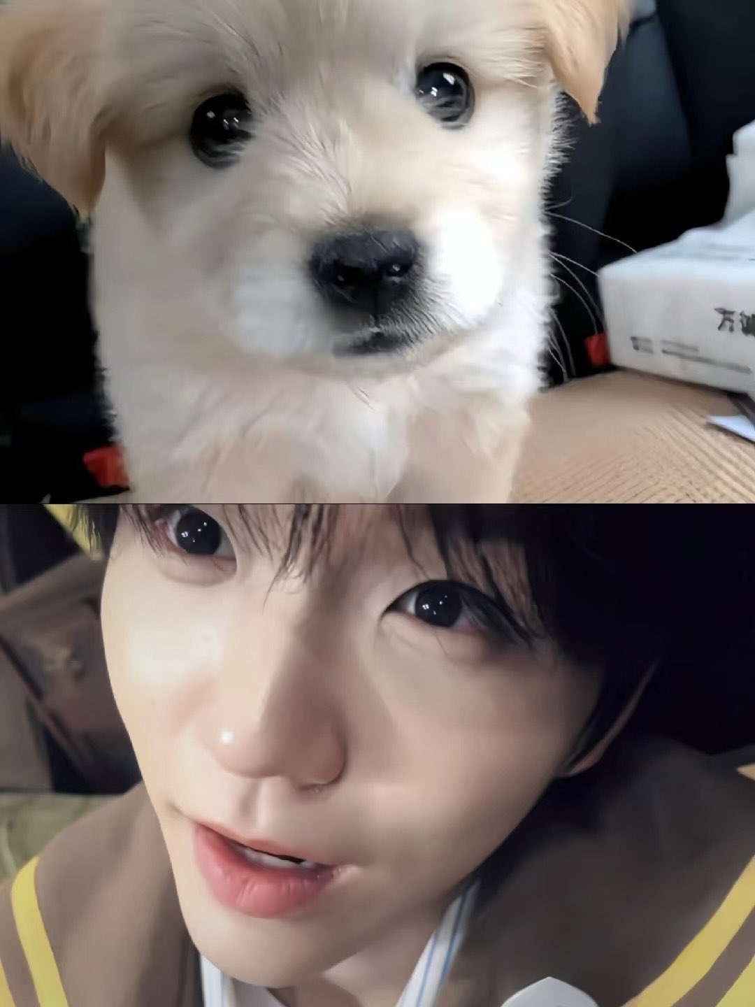 [잡담] 재희 이 사진 뭐예요? | 인스티즈