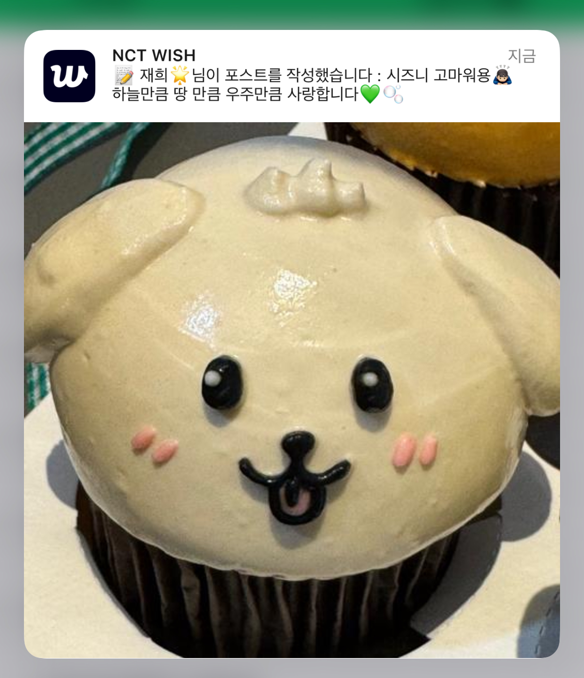 [잡담] 재희가 위버스 오면 자꾸 댕트리버 떠섴ㅋㅋㅋㅋ | 인스티즈