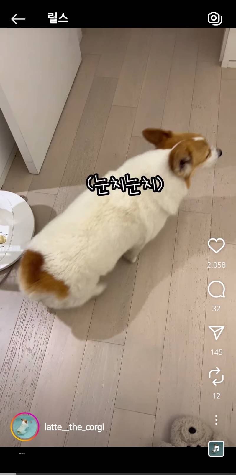 [잡담] 이렇게 흰색많은 웰코 첨봄 | 인스티즈