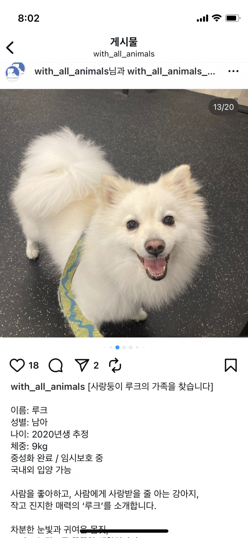 [잡담] 이 강아지 진짜 넘 귀여워 | 인스티즈