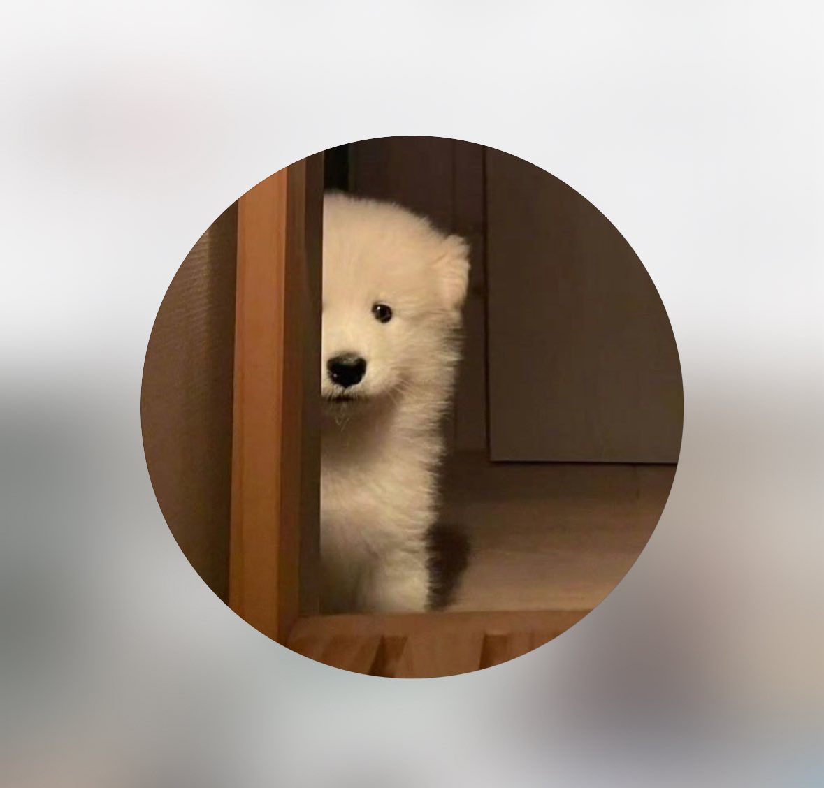 [잡담] 백현이 인스타프사 버블 프사 보통 반대아니냐고ㅋㅋ | 인스티즈
