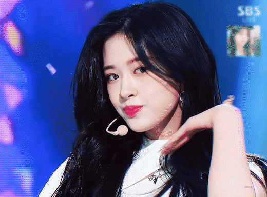 [잡담] 서바이벌 프로그램에 이 멤버가 다 출연하면 원픽은 누구일 것 같아?? | 인스티즈