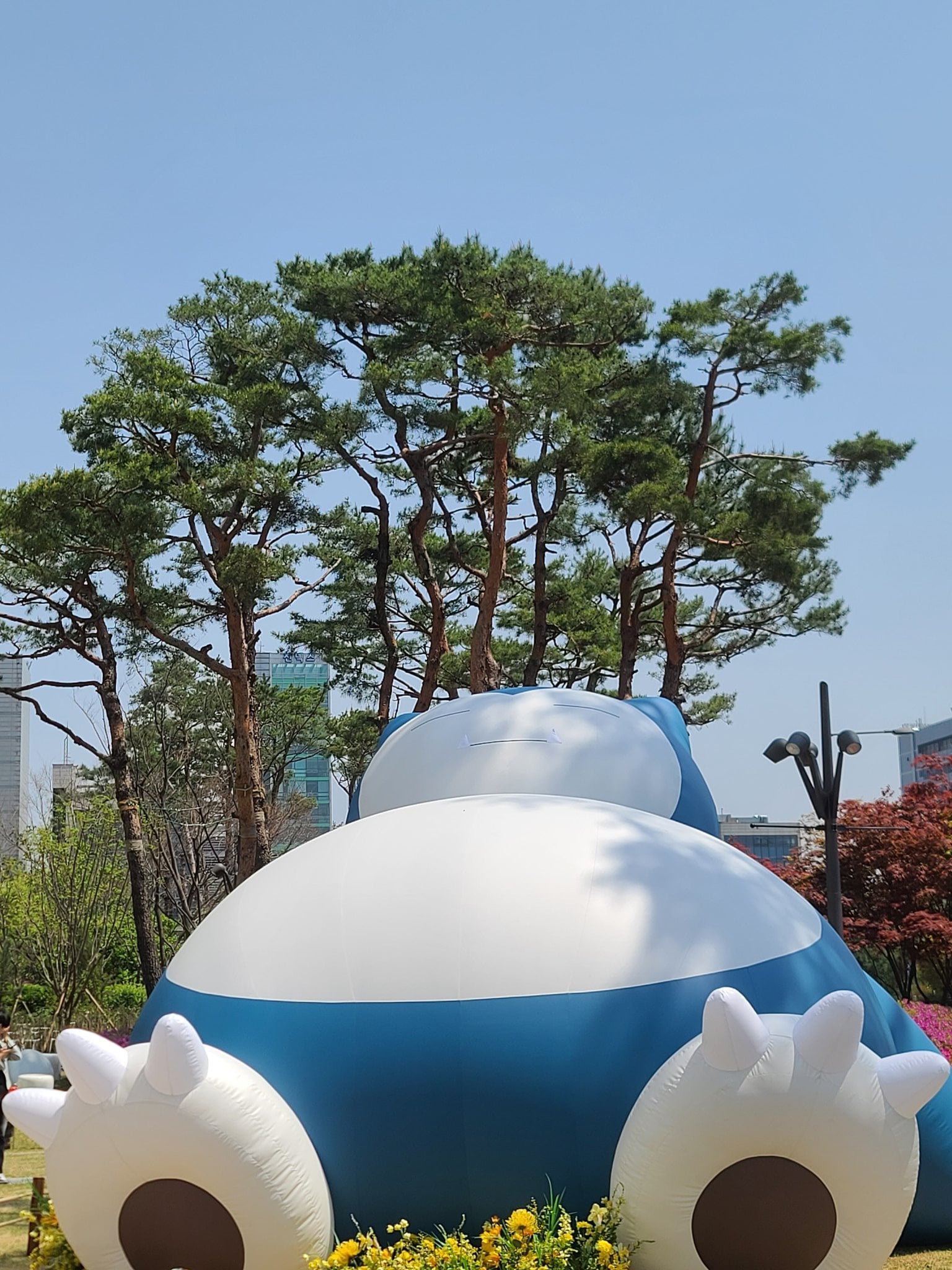 [잡담] 실시간 잠실 석촌호수 통째로 전세 낸 메타몽 | 인스티즈