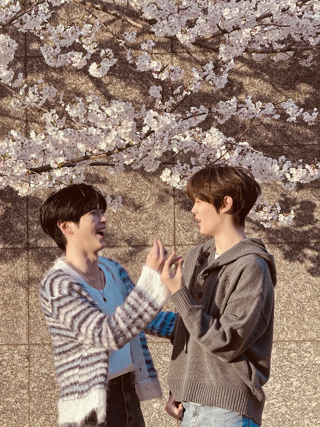 [잡담] 성한빈 김규빈 사진 | 인스티즈