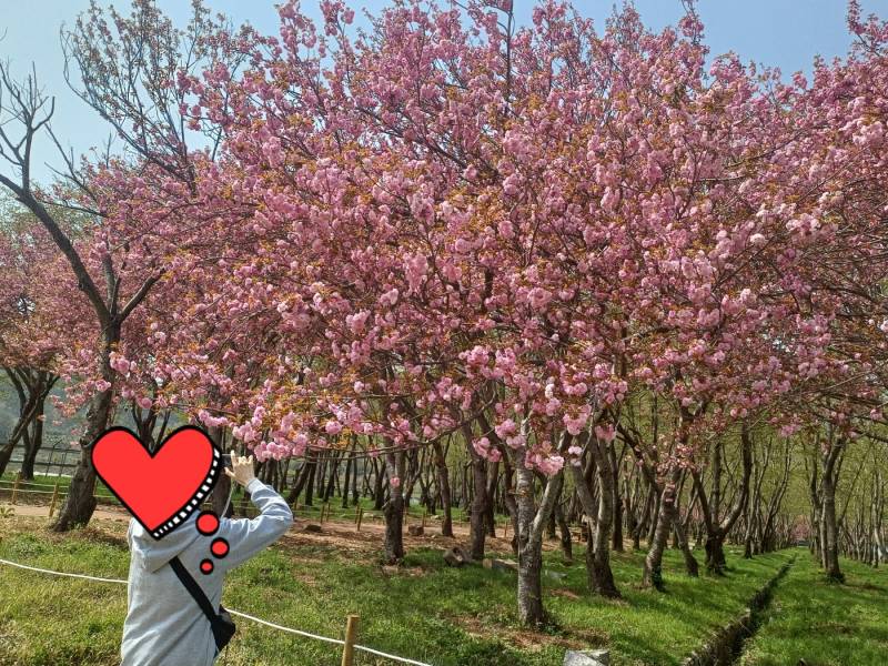 [잡담] 전에 꽃구경 갔을때 엄마가 나 찍어놨넿ㅎㅎㅎㅎㅎㅎ | 인스티즈