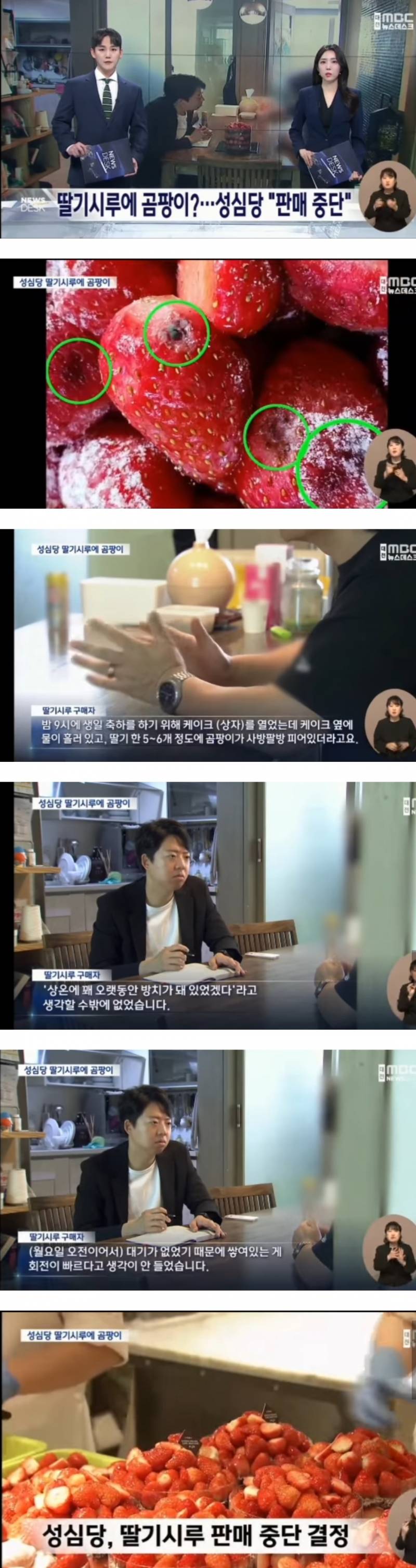 [잡담] 성심당 딸기시루에서 곰팡이 나왔다는데 욕하는 사람 없는거 신기함ㅋㅋㅋㅋㅋㅋ | 인스티즈