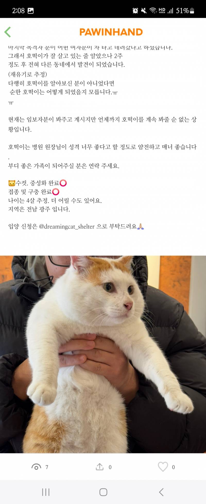 [잡담] 아 진짜 포인핸드에 너무너무너무 내 취향 고양이가 있는데 데려오고싶다 | 인스티즈