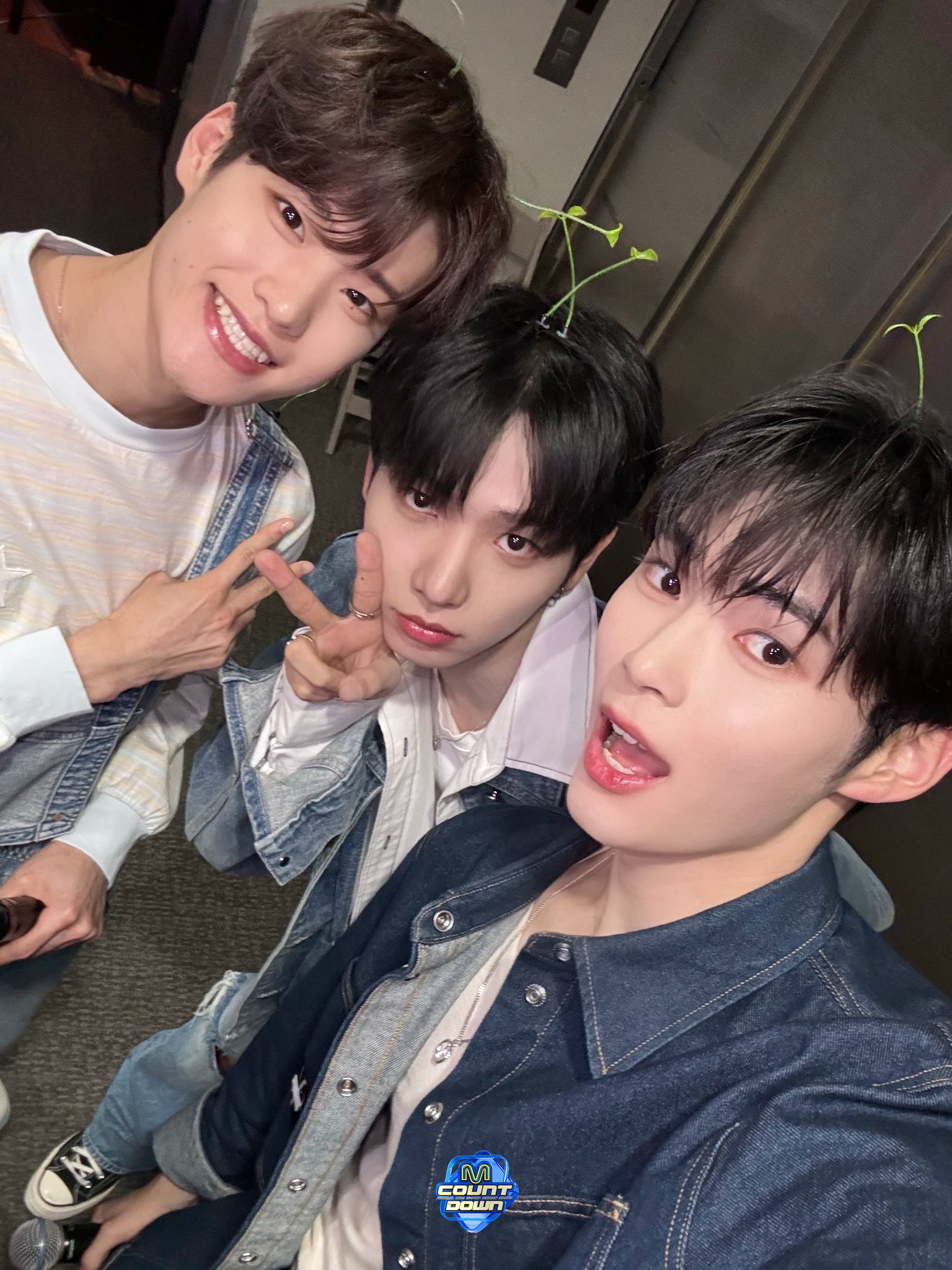 [잡담] 갑자기 멍또캣🥺 | 인스티즈