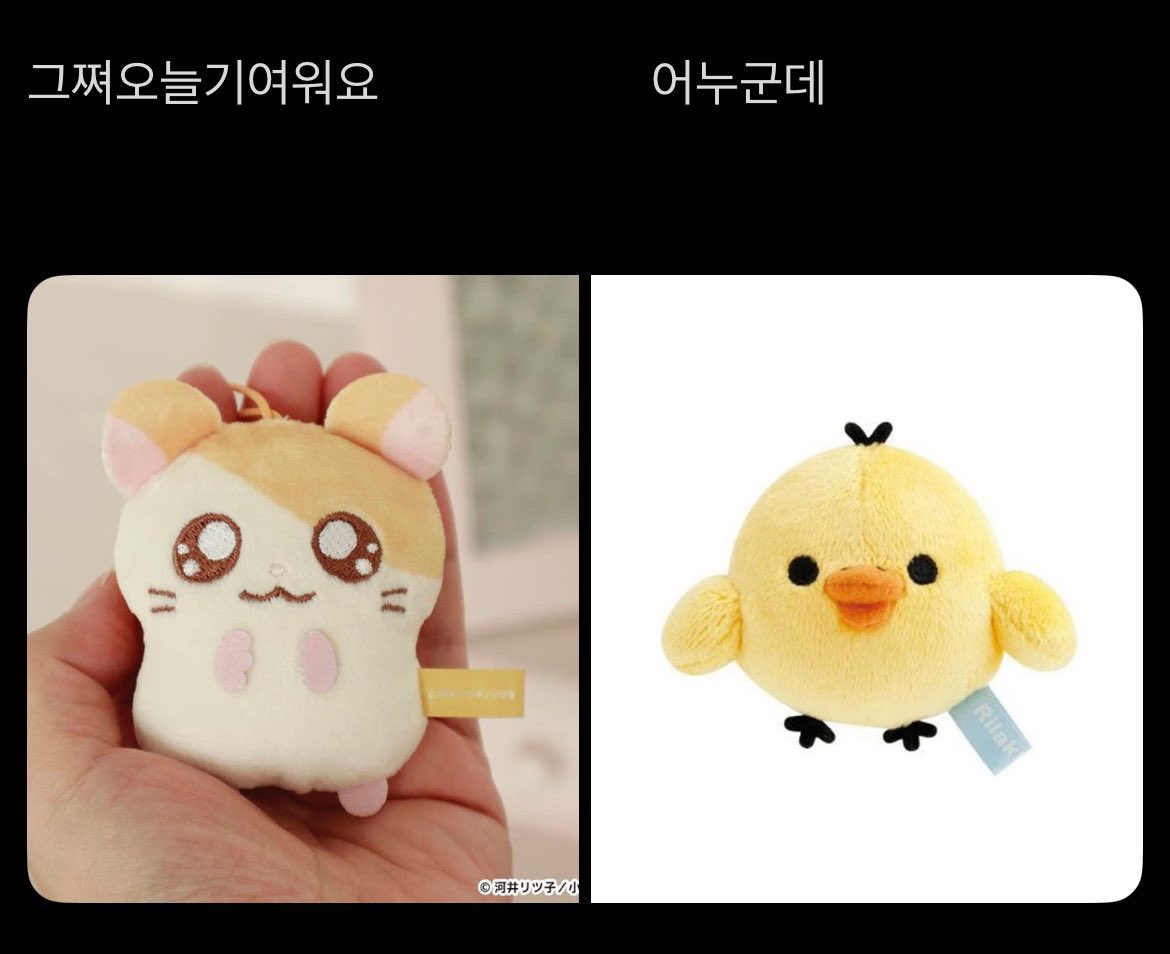 [잡담] 이거 리쿠 | 인스티즈