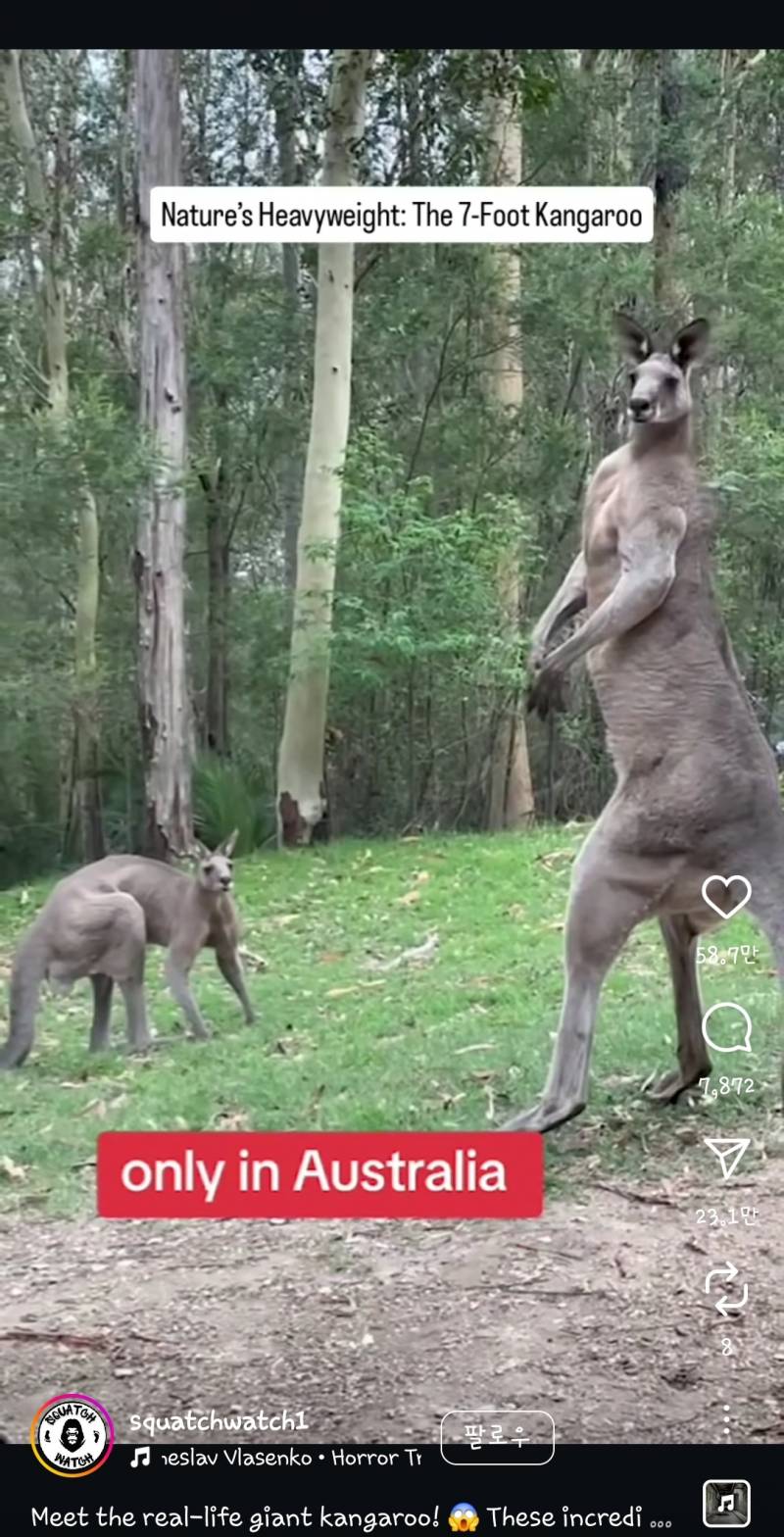 [잡담] 아 미쳤닼ㅋㅋㅋ 개무서웤ㅋㅋㅋㅋㅋ | 인스티즈