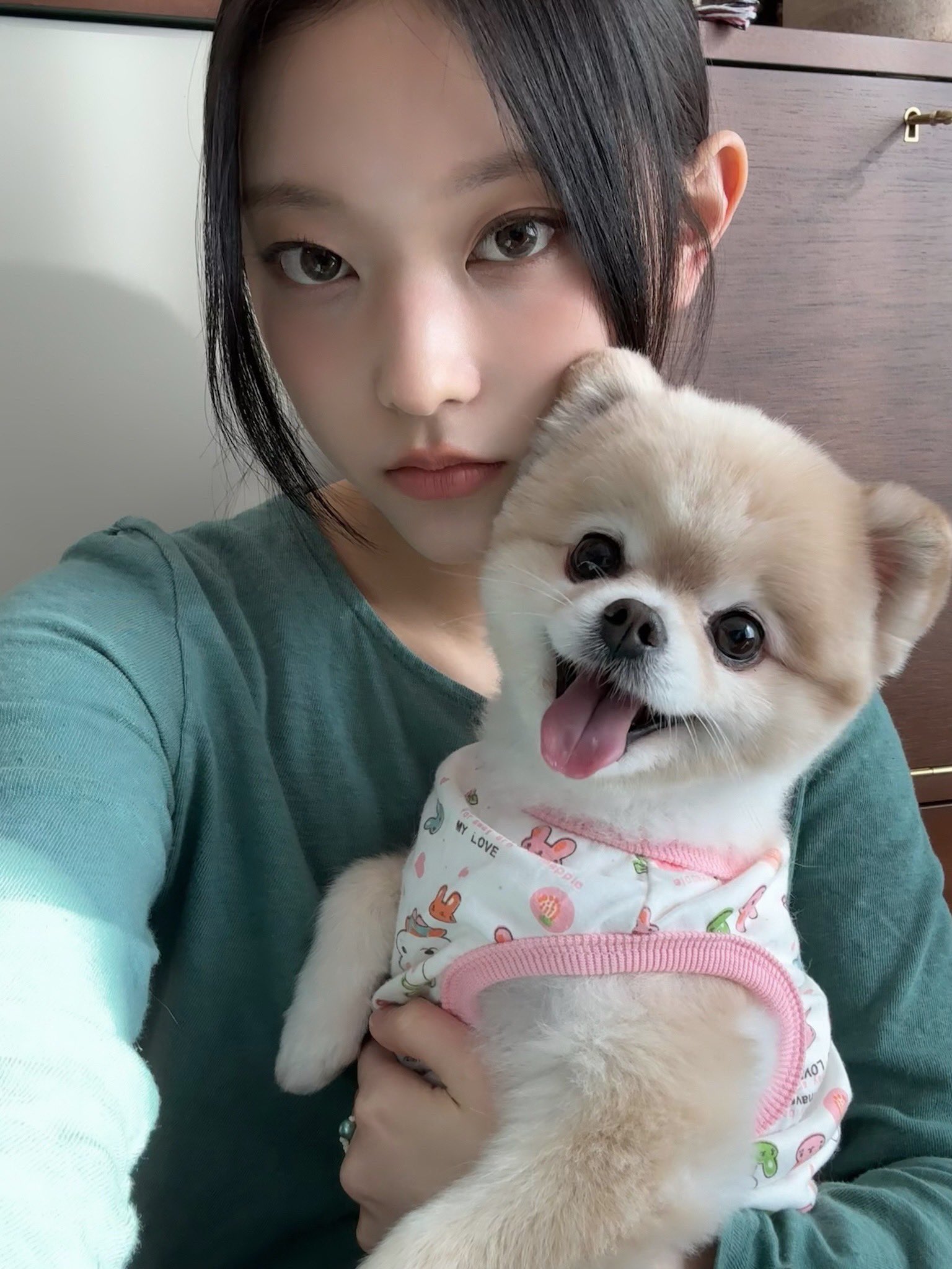 [잡담] 굉장히 흥미로운 사진을 봄 보통 반려견이랑 그림체 비슷한데 해린은 | 인스티즈