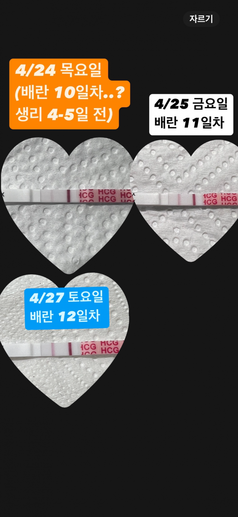 임테기 점점 진해지는거같아?? | 인스티즈