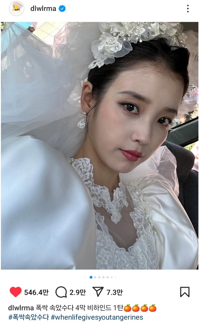 [마플] 백상 후보들 인스타 순위 | 인스티즈