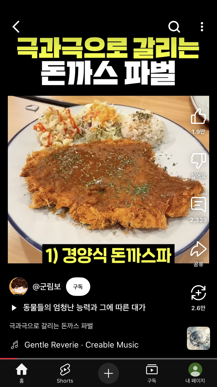 [잡담] 돈가스다들무슨파임 | 인스티즈