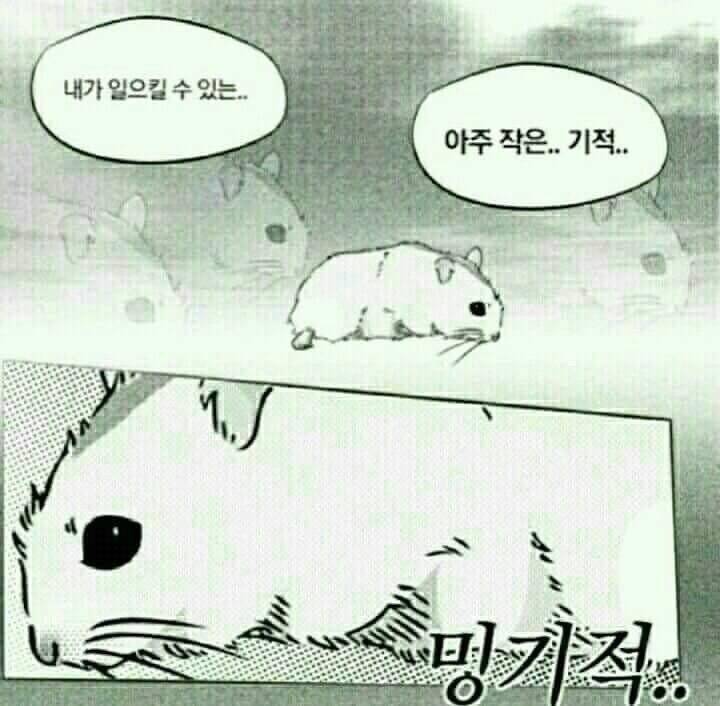 [잡담] 9시 노리는 투니들아 준비해라 | 인스티즈