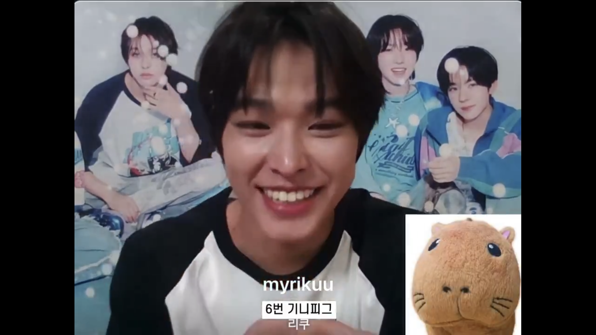 [잡담] 리쿠 영통할때 최애로 고른 기니 이거 닮지 않음? | 인스티즈