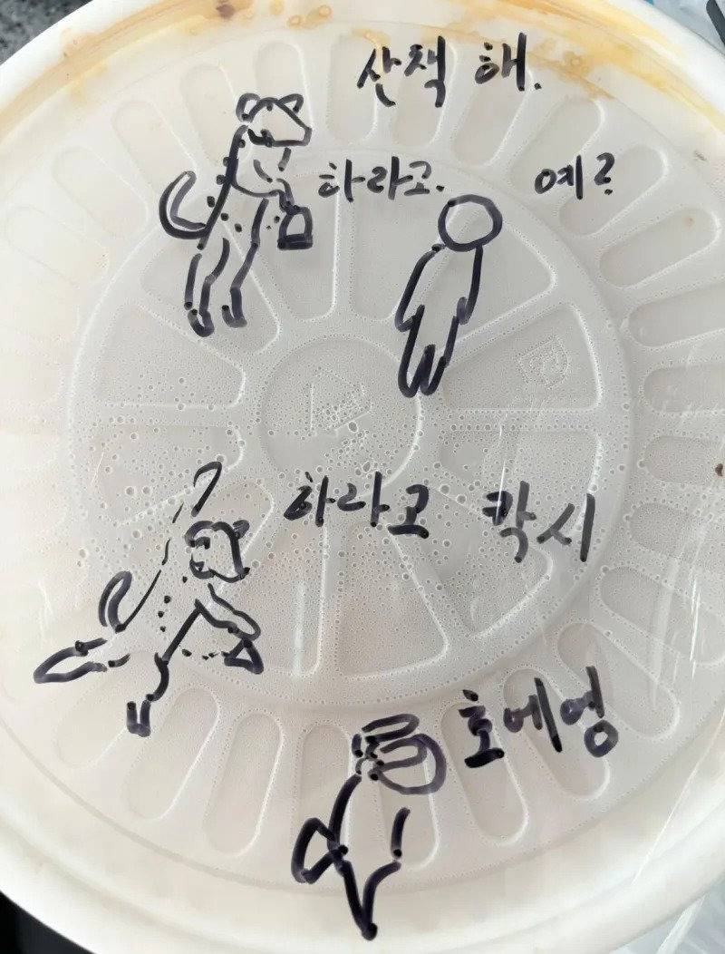 [잡담] 배민 배달시키면 사장님이 자꾸 그림 그려주심....jpg | 인스티즈