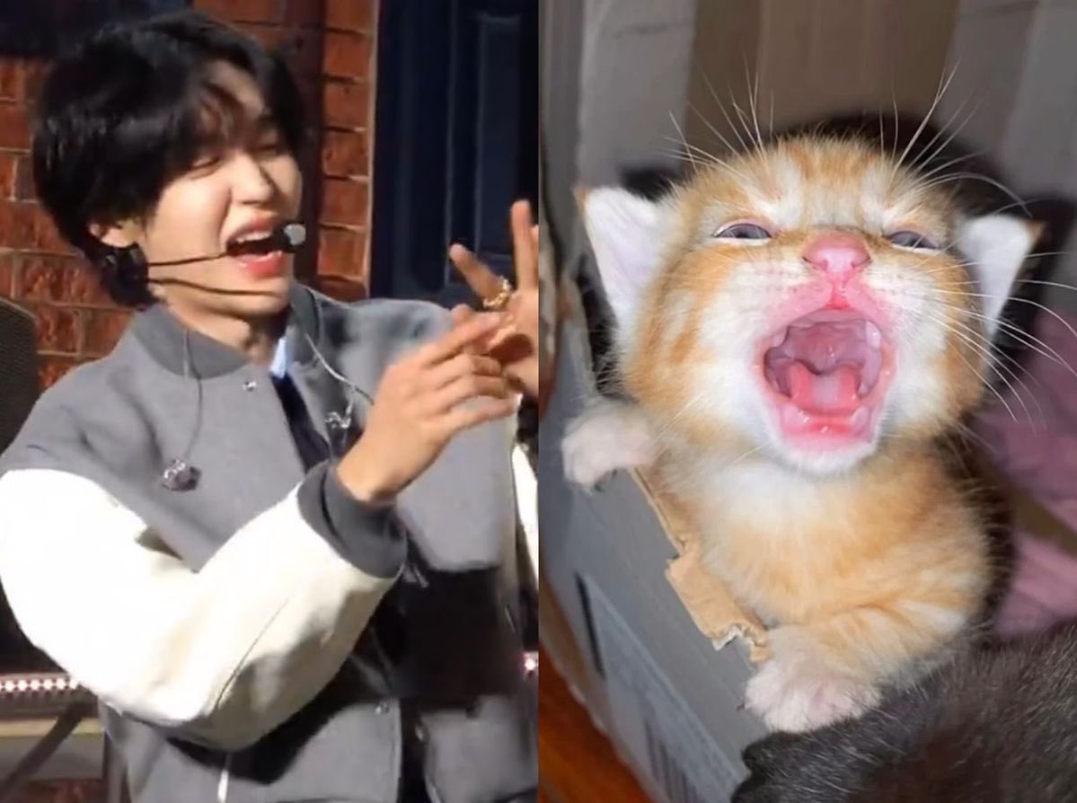 [잡담] 원빈이 진짜 귀엽게 생겼다 | 인스티즈