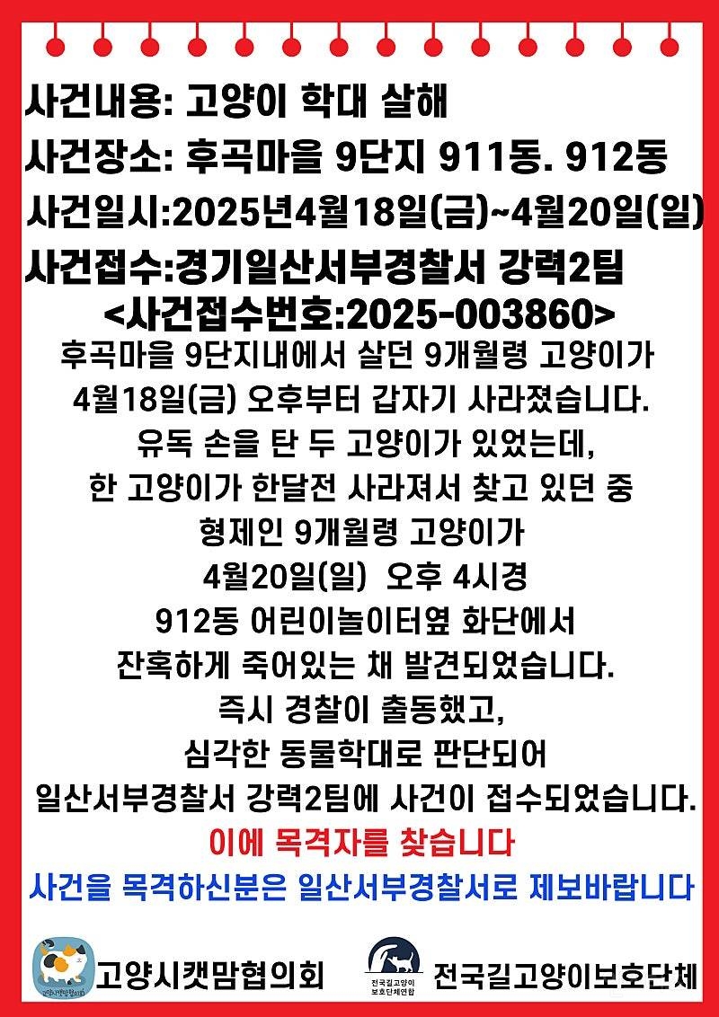 고양시 어느 동네 에서 일어난 길고양이 학대 사건 | 인스티즈