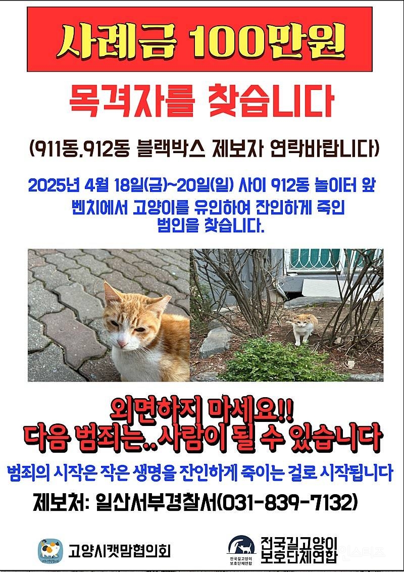 고양시 어느 동네 에서 일어난 길고양이 학대 사건 | 인스티즈
