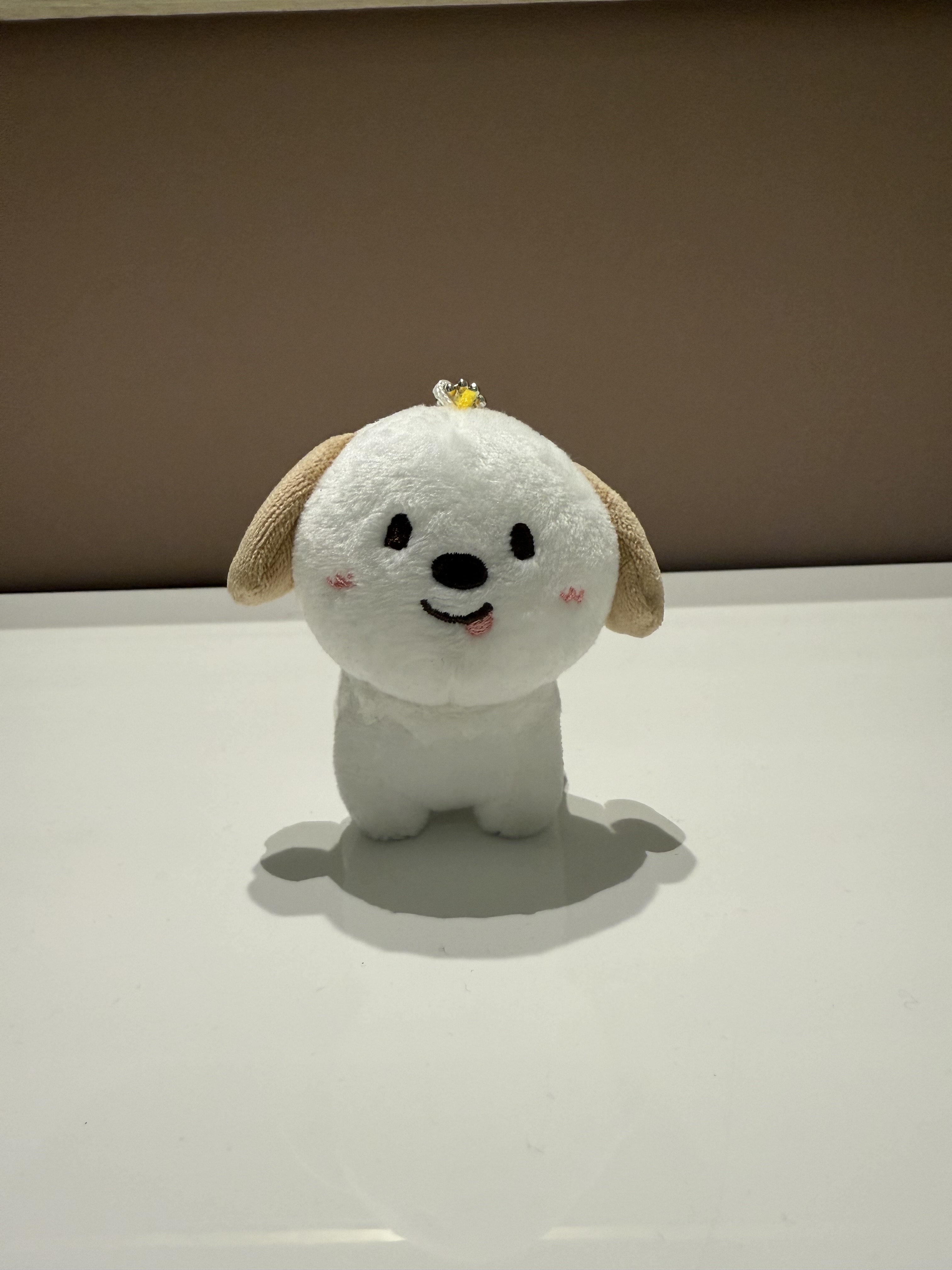 [장터] 개봉 오리지널 냥덕, 멍룡 배송비포함 양도! | 인스티즈