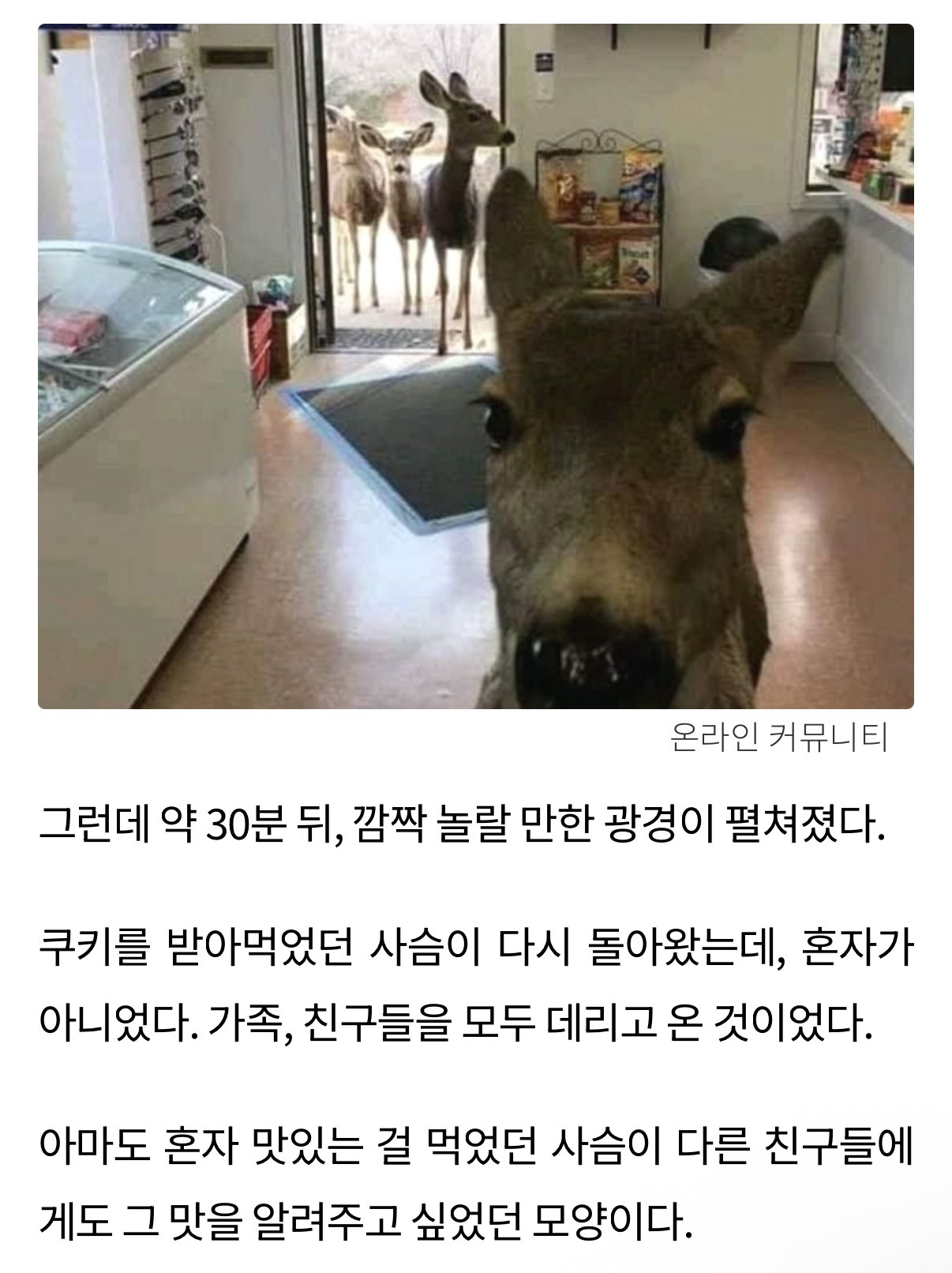 [잡담] 라이즈...이짤 완전 똑같애ㅋㅋㅋ | 인스티즈
