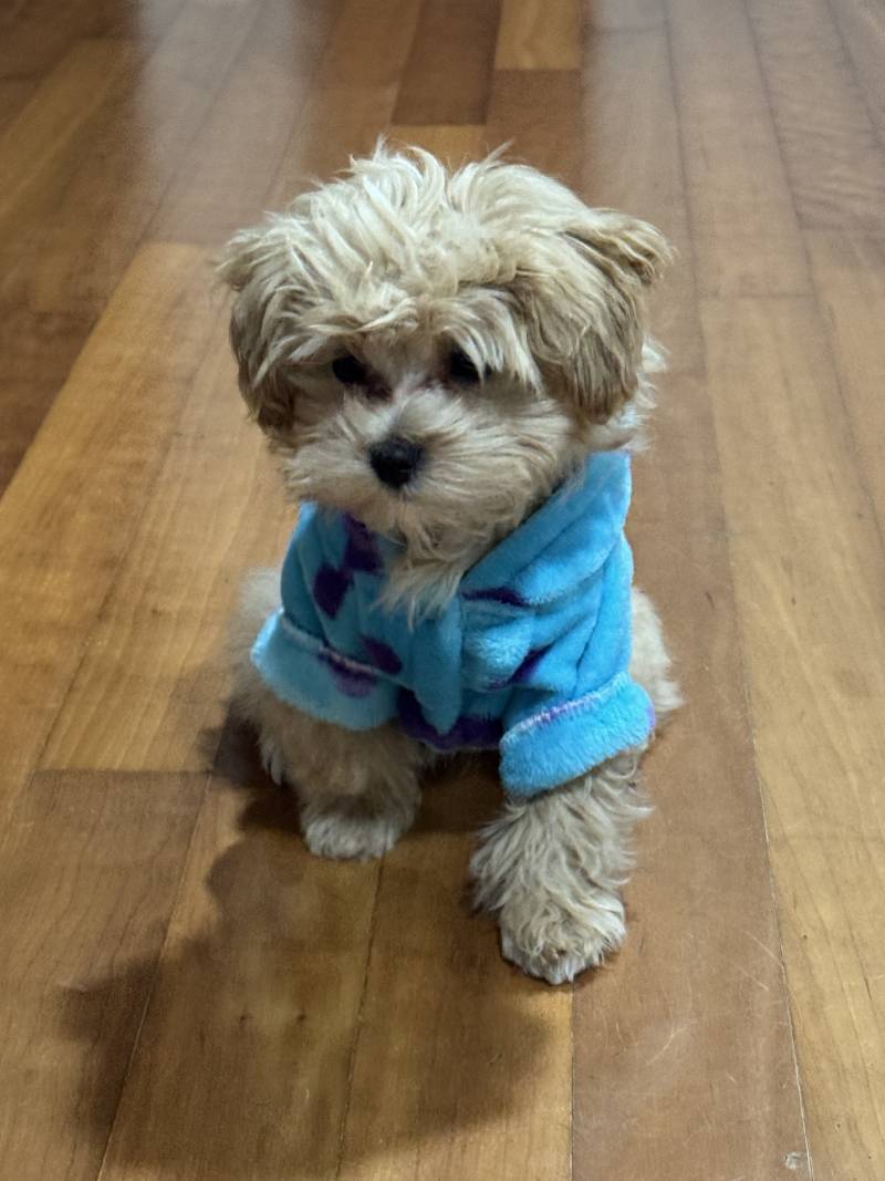 [잡담] 하 넘 마니 컸다 울아기 ㅠ ㅠ | 인스티즈