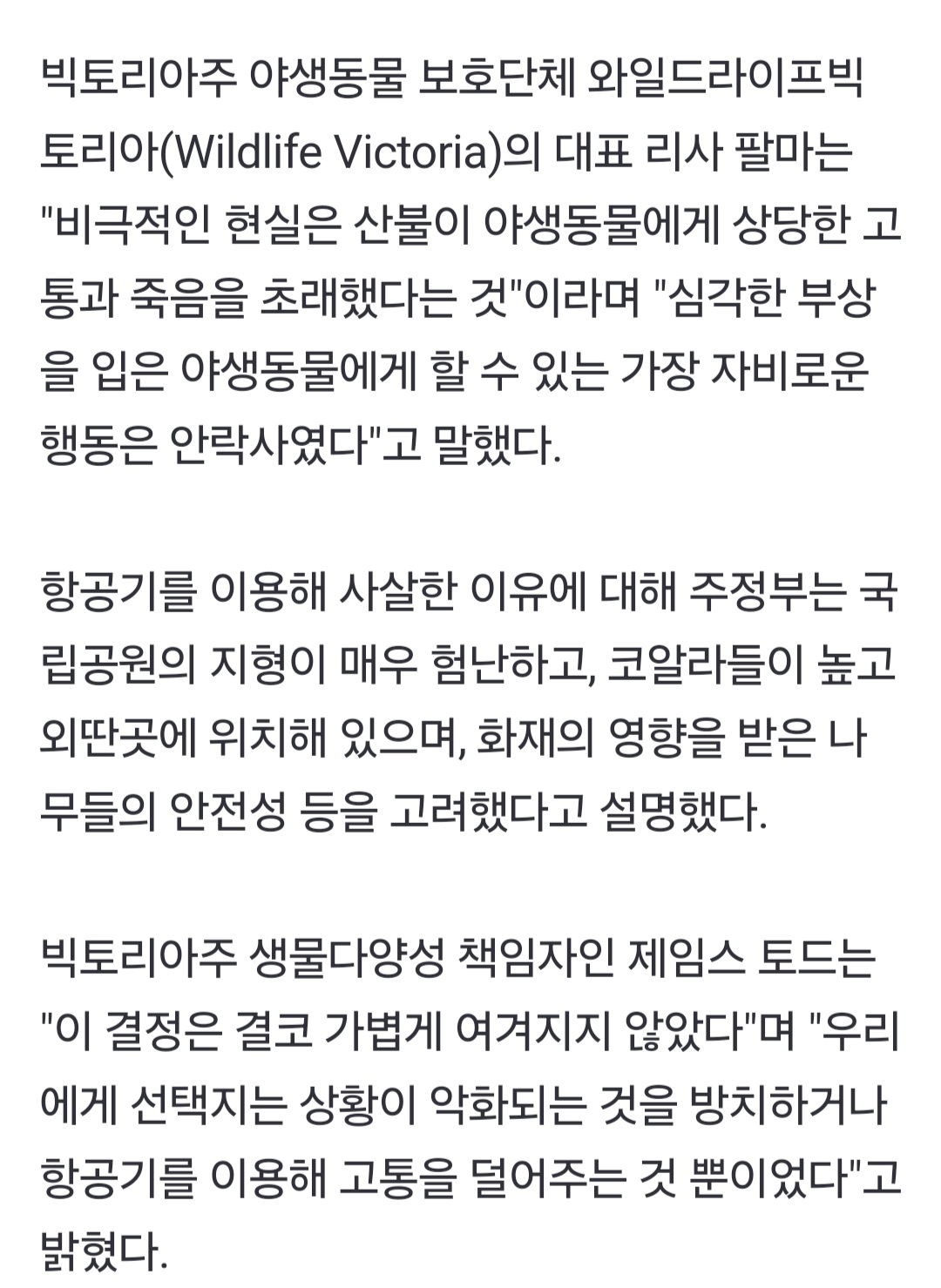 [정보/소식] 호주, 코알라 700마리 총살…"안락사 차원" | 인스티즈