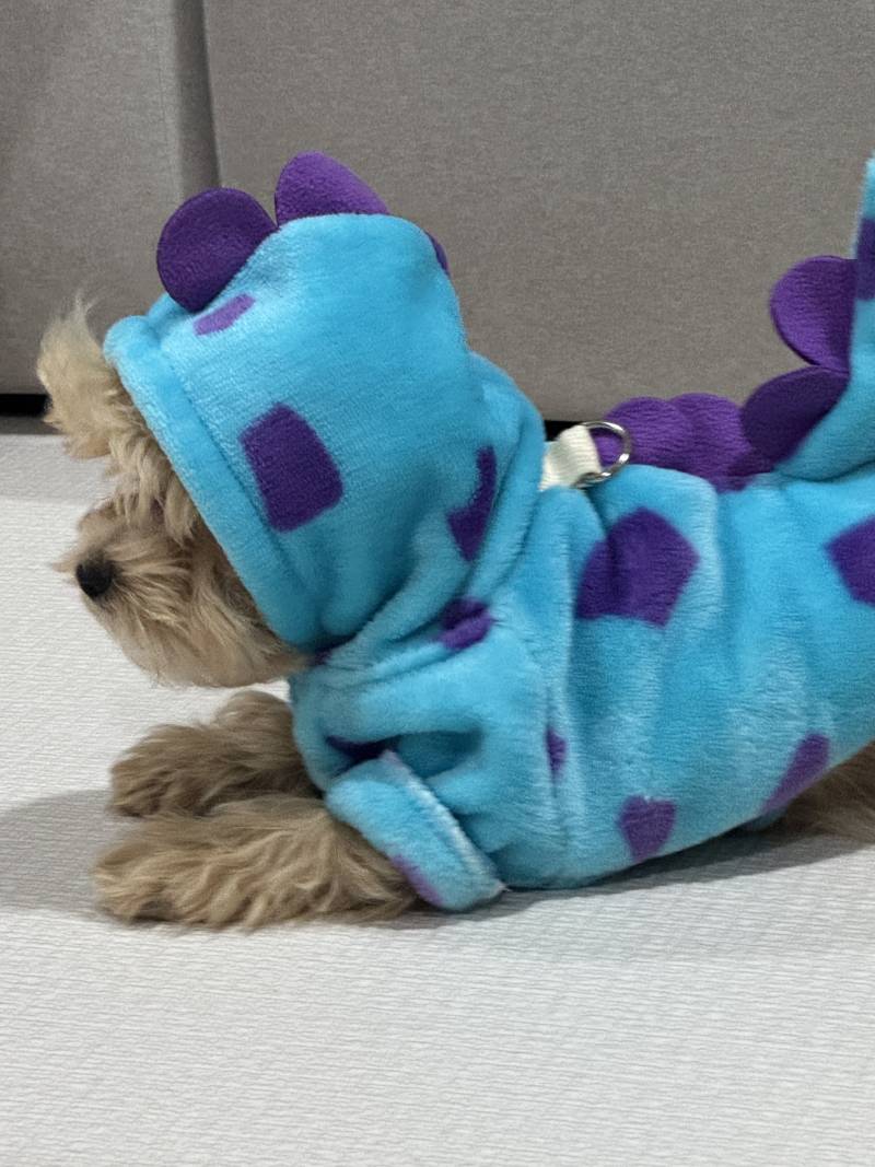 [잡담] 하 넘 마니 컸다 울아기 ㅠ ㅠ | 인스티즈