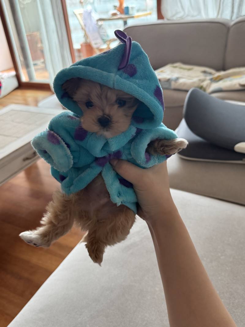 [잡담] 하 넘 마니 컸다 울아기 ㅠ ㅠ | 인스티즈