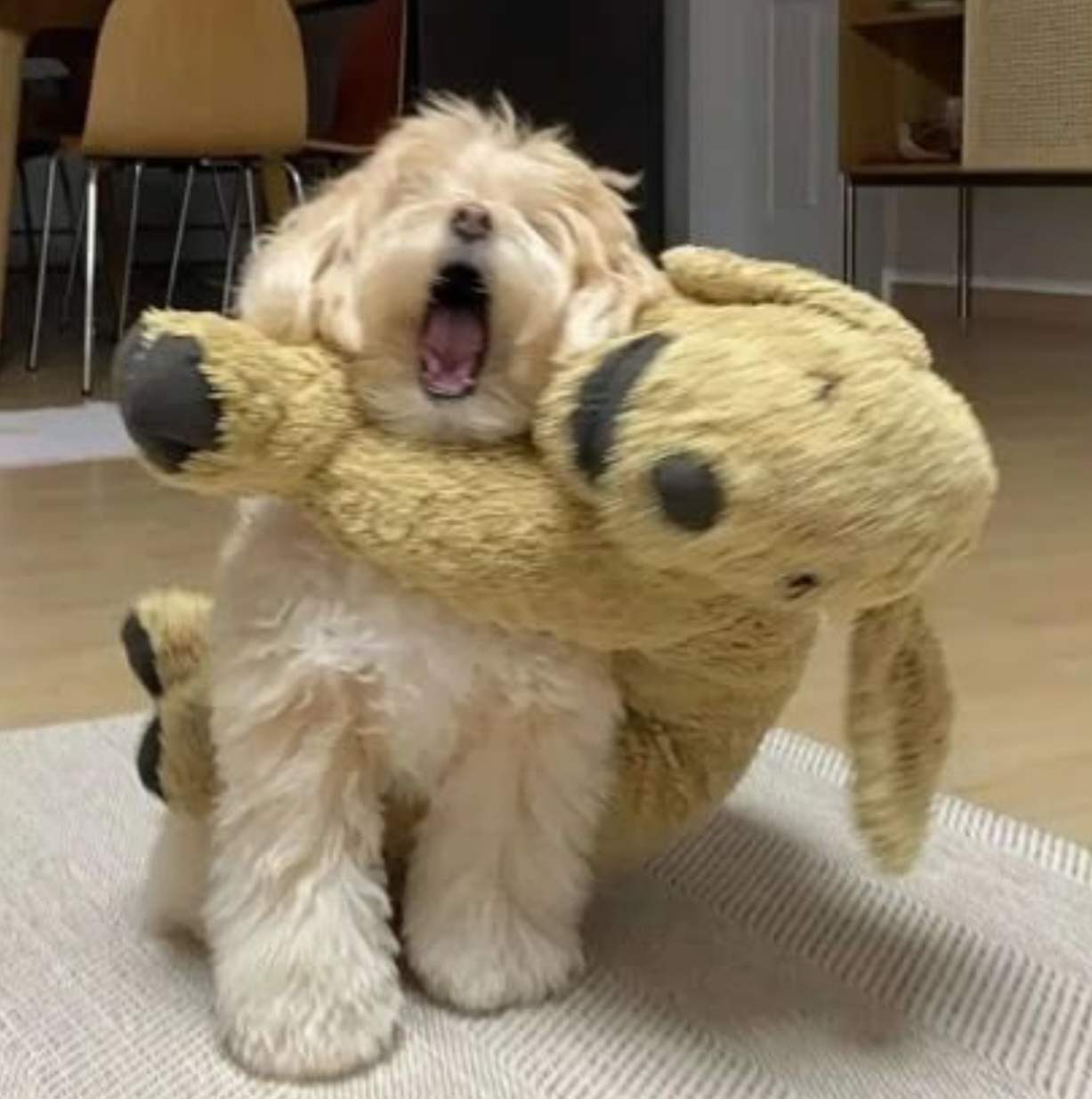 [잡담] 성찬영 탕수육 받고 양장피ㅋㅋㅋㅋㅋㅋㅋㅋ | 인스티즈
